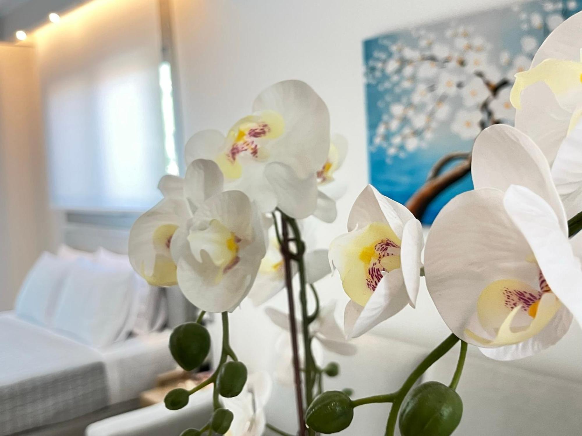 Maison Deluxe Studios And Apartment Parga Ngoại thất bức ảnh