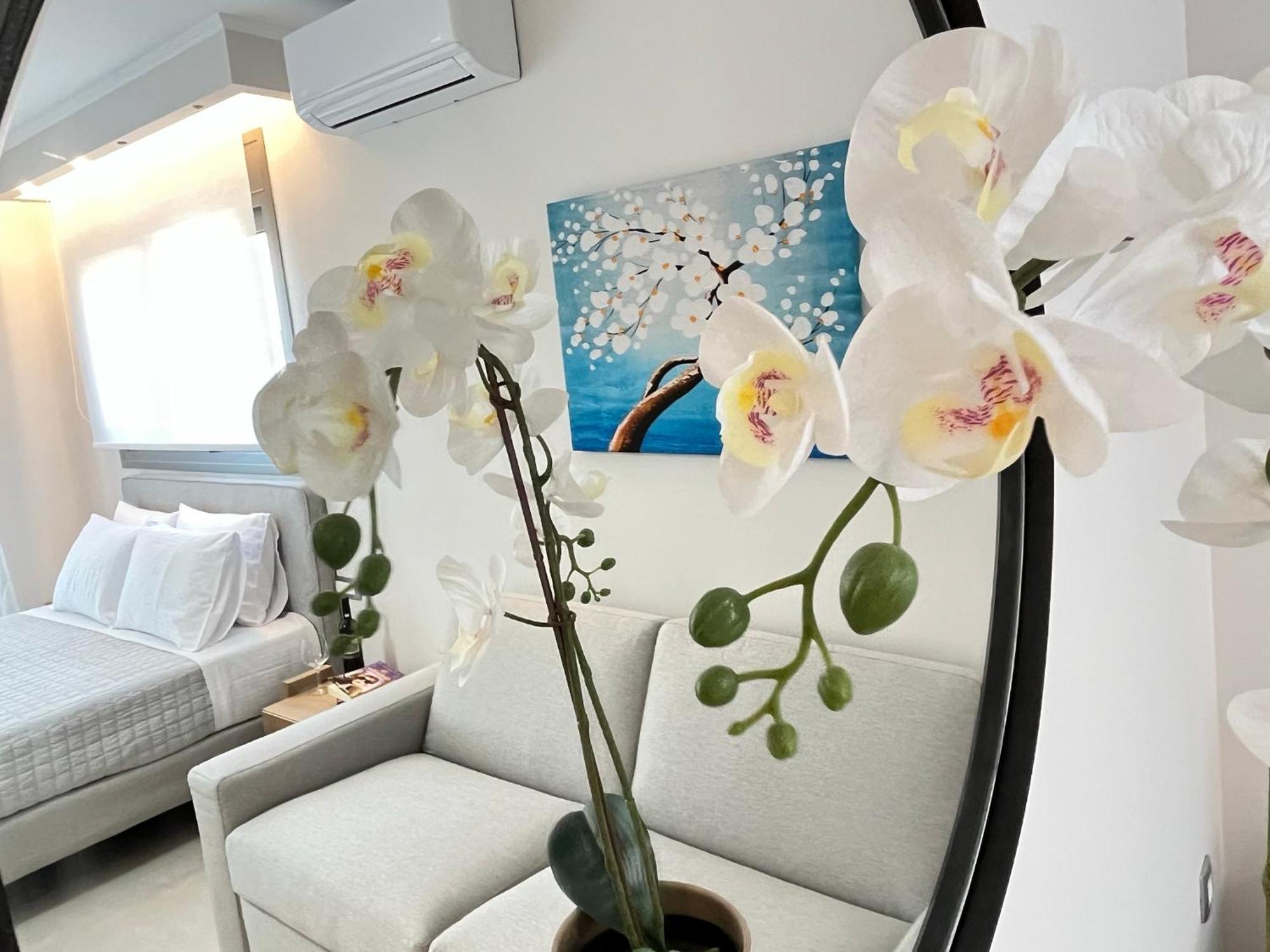 Maison Deluxe Studios And Apartment Parga Ngoại thất bức ảnh